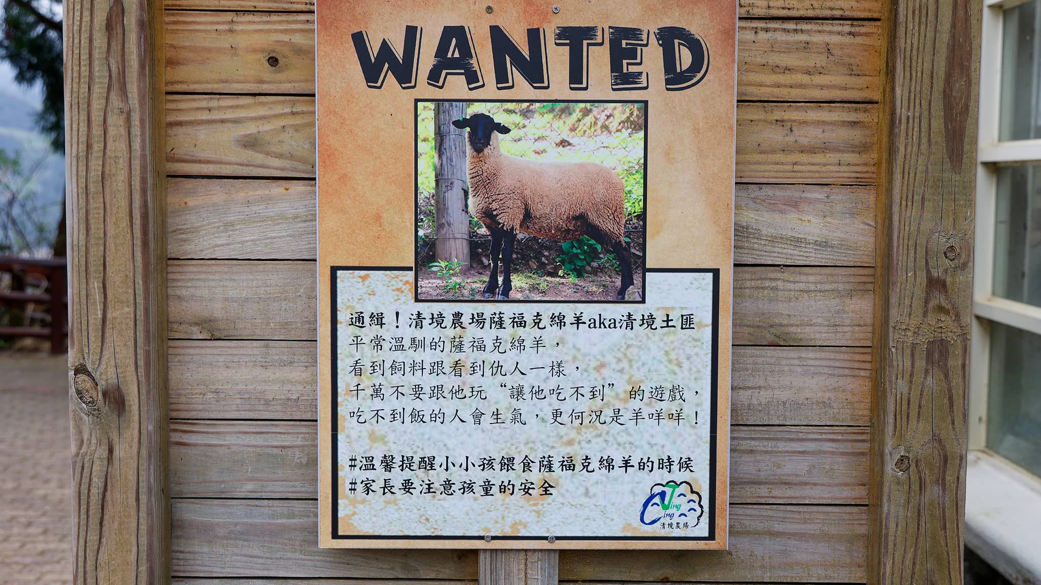 03 - Hehuanshan (50).jpg